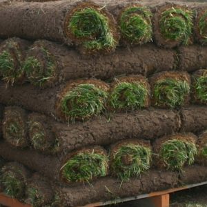 Buy Sod Chadds Ford, PA